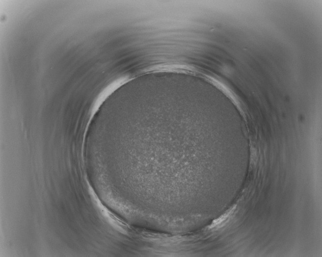 X0000064771050200602171819