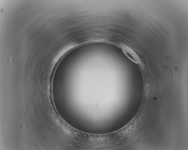 X0000064771051200602171819