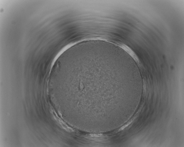 X0000064771052200602171819