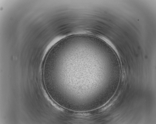 X0000064771053200602171819