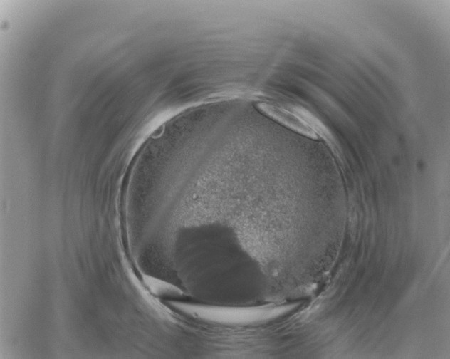 X0000064771055200602171819