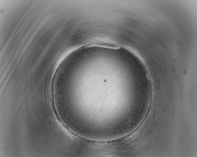 X0000064771056200602171820