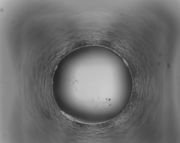 X0000064771057200602171819