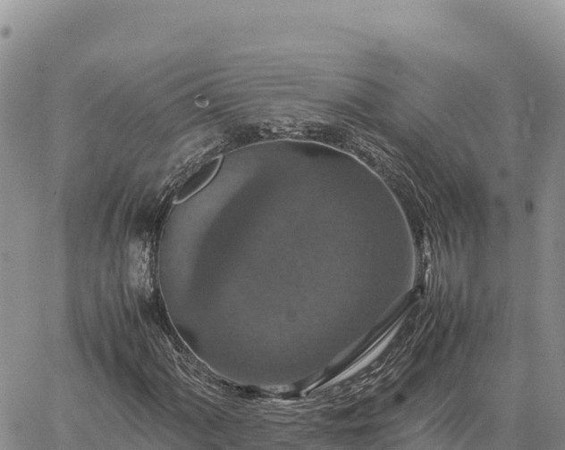 X0000064771060200602171819