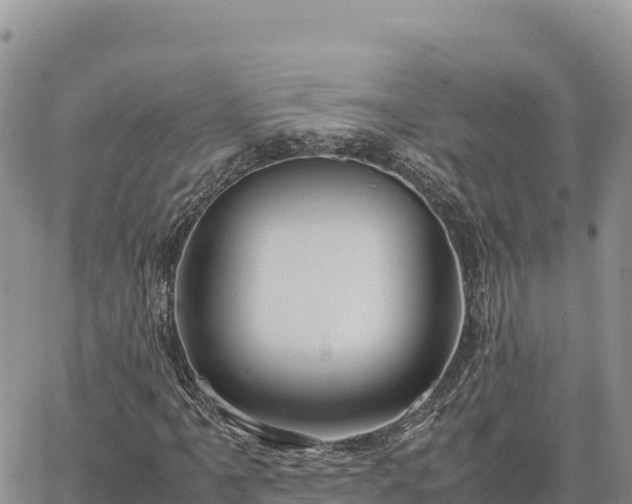 X0000064771061200602171819