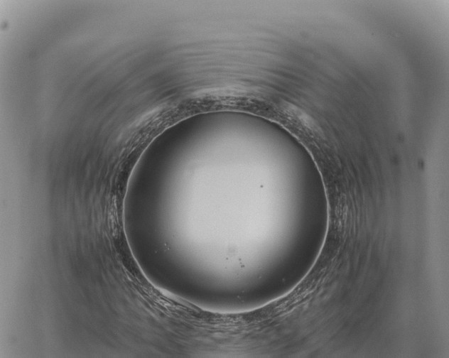 X0000064771062200602171819