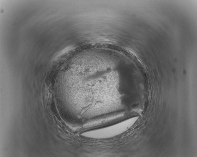 X0000064771063200602171819