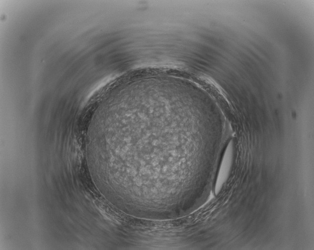 X0000064771064200602171819