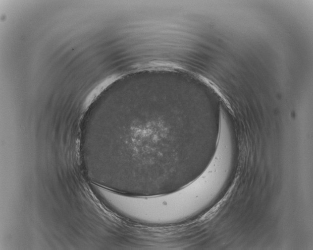 X0000064771066200602171819