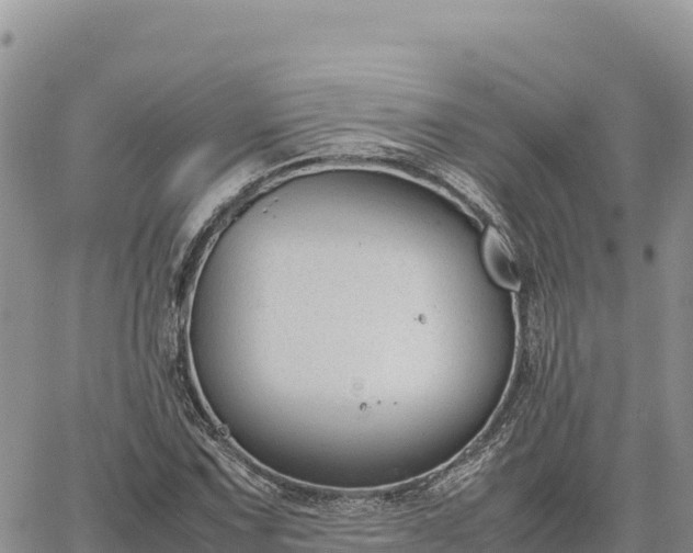 X0000064771067200602171819