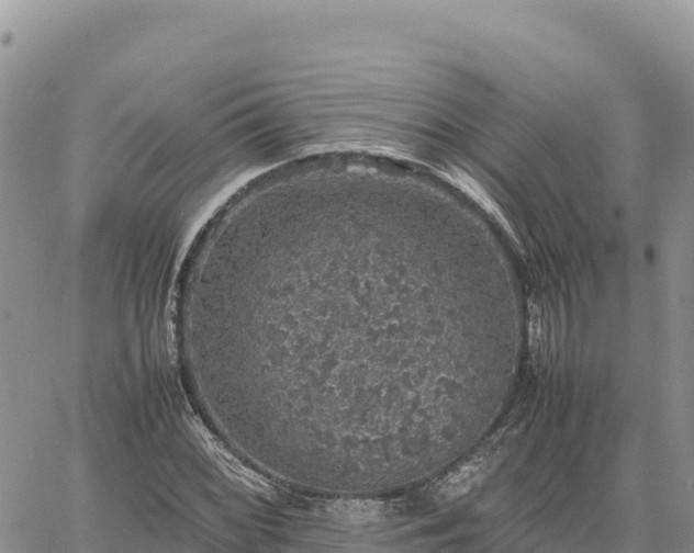 X0000064771068200602171819