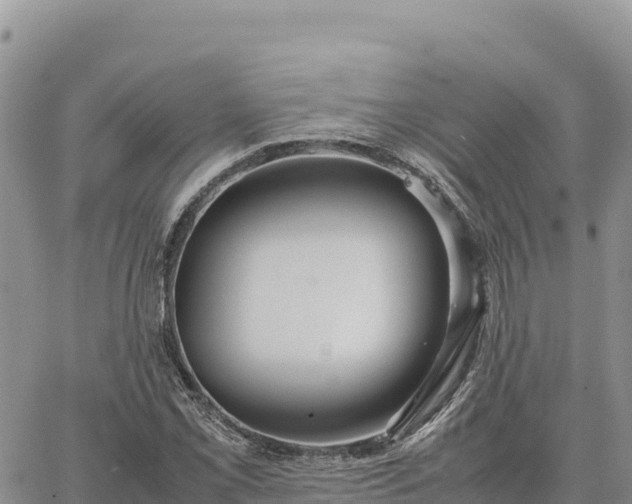 X0000064771069200602171819