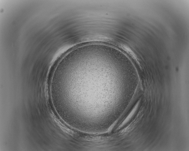 X0000064771072200602171818