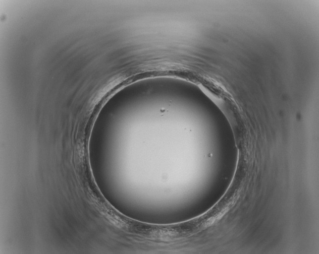 X0000064771073200602171818