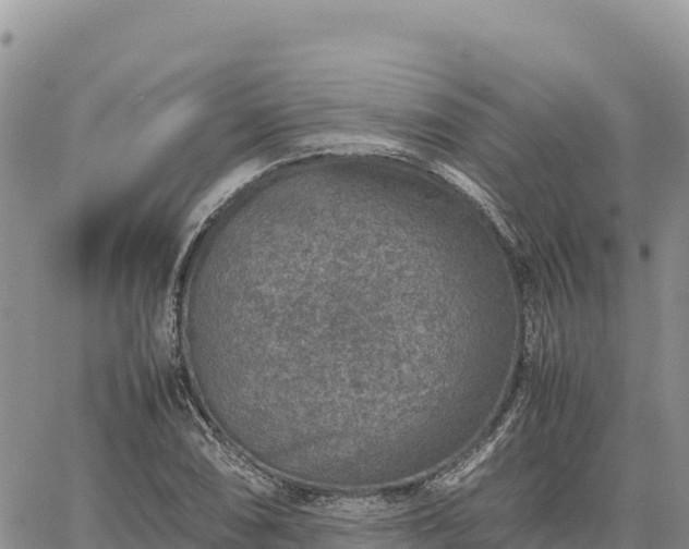 X0000064771074200602171818