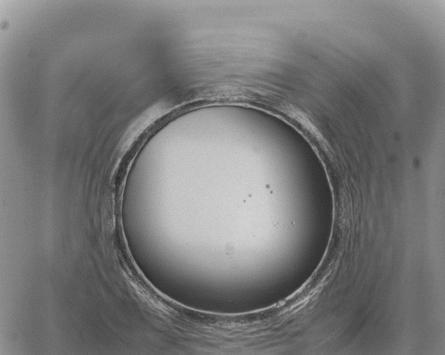 X0000064771075200602171818