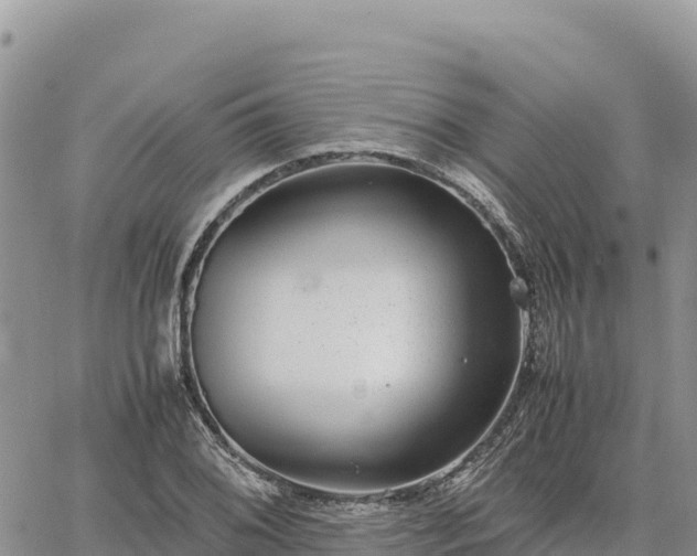 X0000064771076200602171818