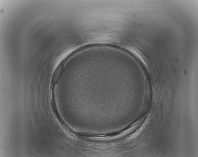 X0000064771077200602171818