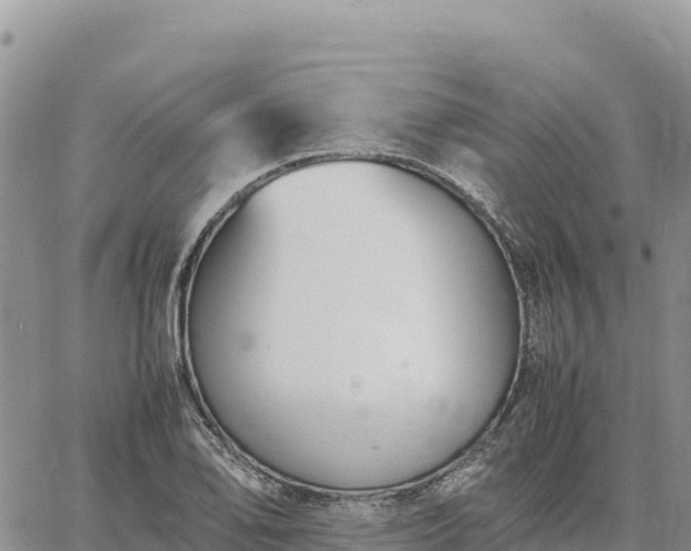 X0000064771078200602171818