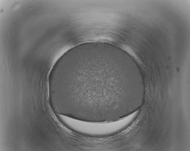 X0000064771079200602171818