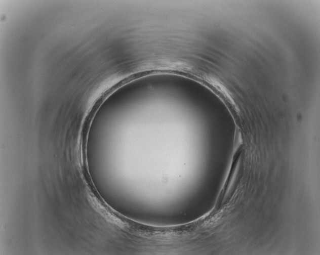 X0000064771080200602171818