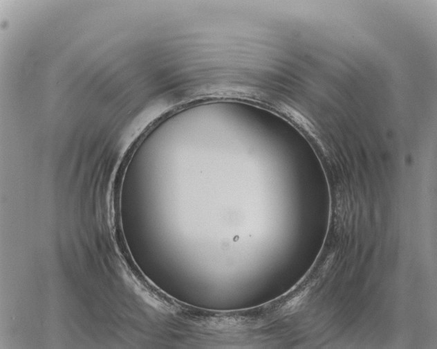 X0000064771082200602171818