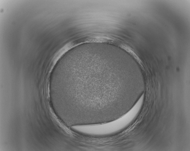 X0000064771083200602171818