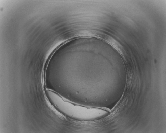 X0000064771084200602171818