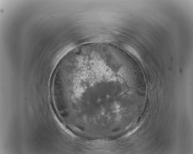 X0000064771087200602171818