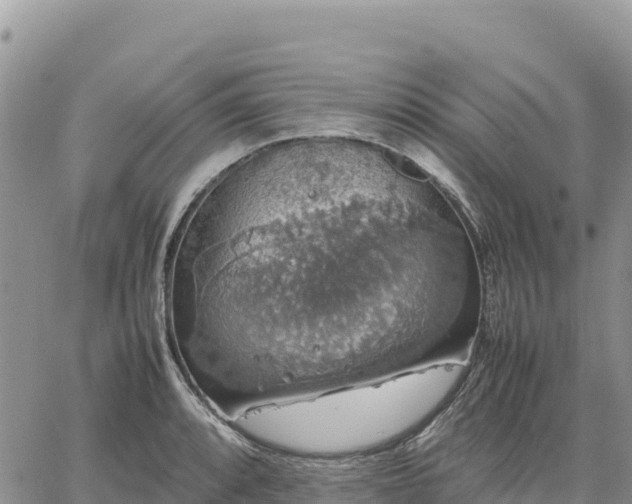 X0000064771088200602171818