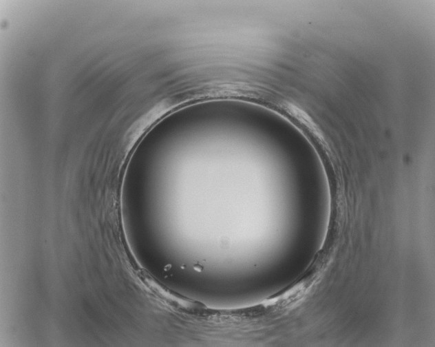 X0000064771089200602171818