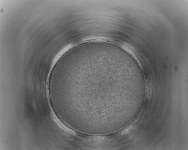 X0000064771090200602171818