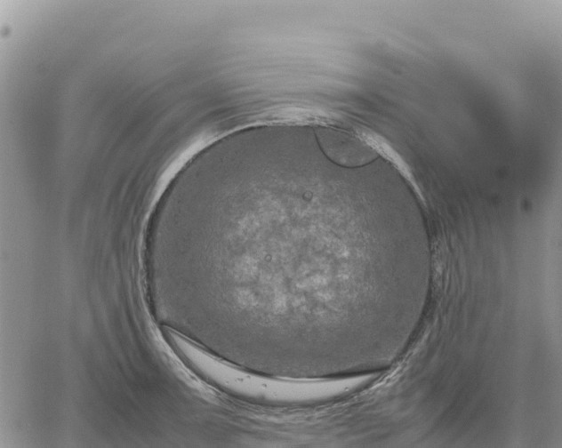 X0000064771091200602171818