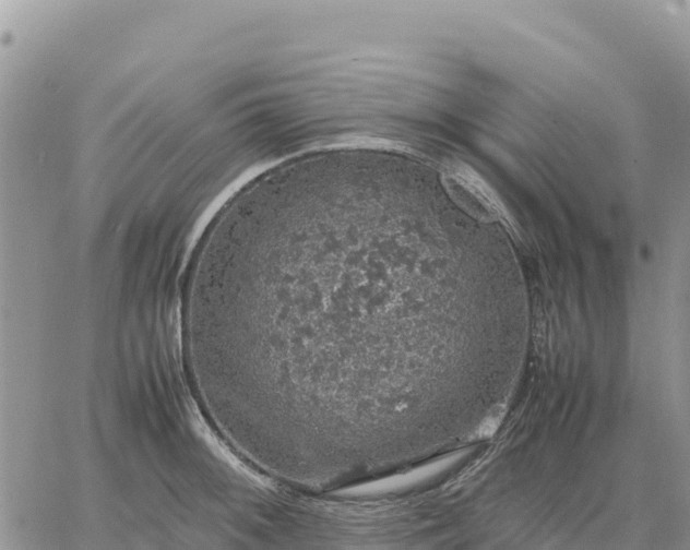 X0000064771092200602171818