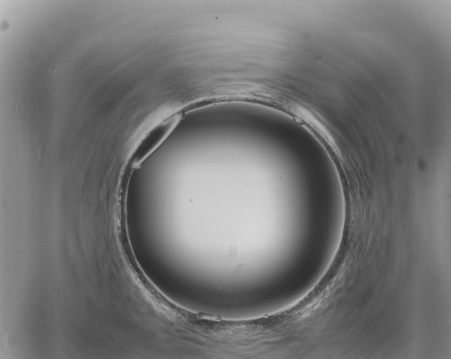 X0000064771093200602171818