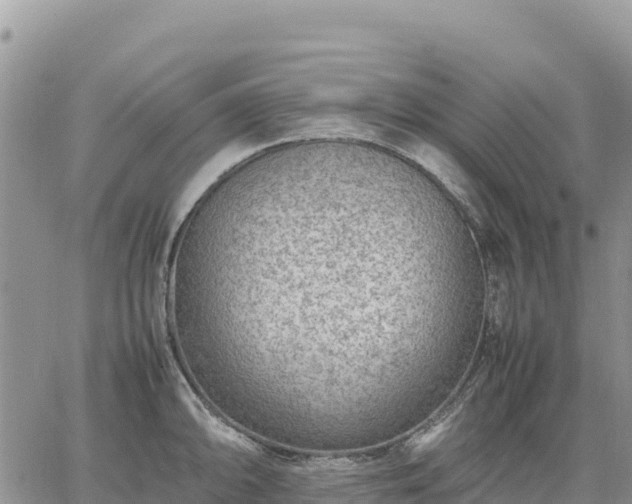 X0000064771094200602171818