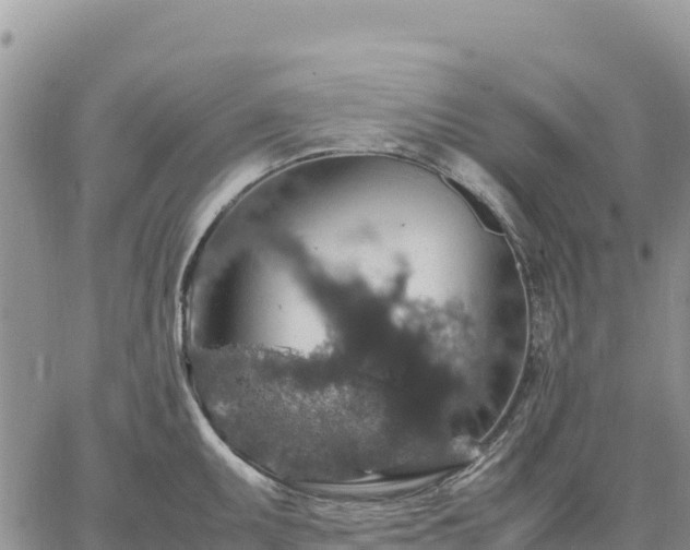 X0000064771095200602171818