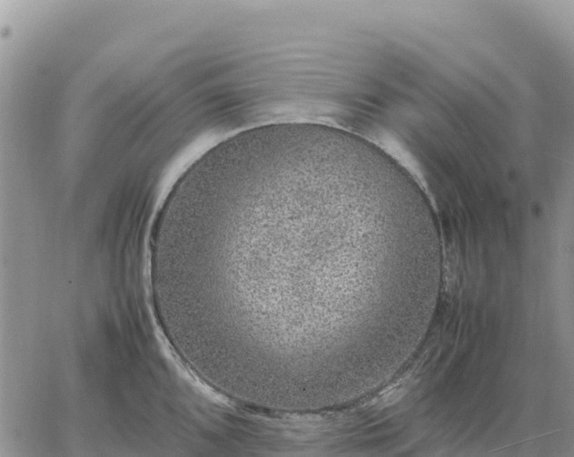 X0000064771096200602171818