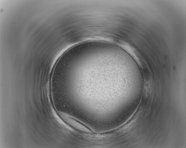 X0000064771100200602171818