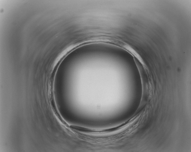 X0000064771101200602171818