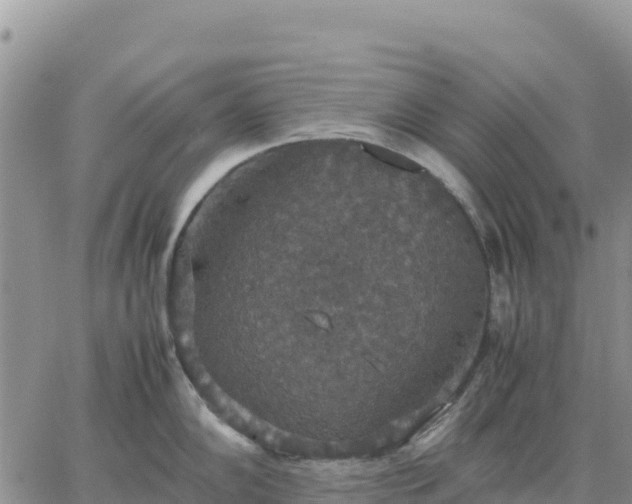 X0000064771102200602171818