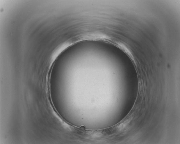 X0000064771103200602171818