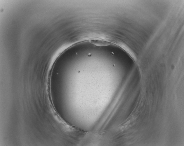 X0000064771104200602171818