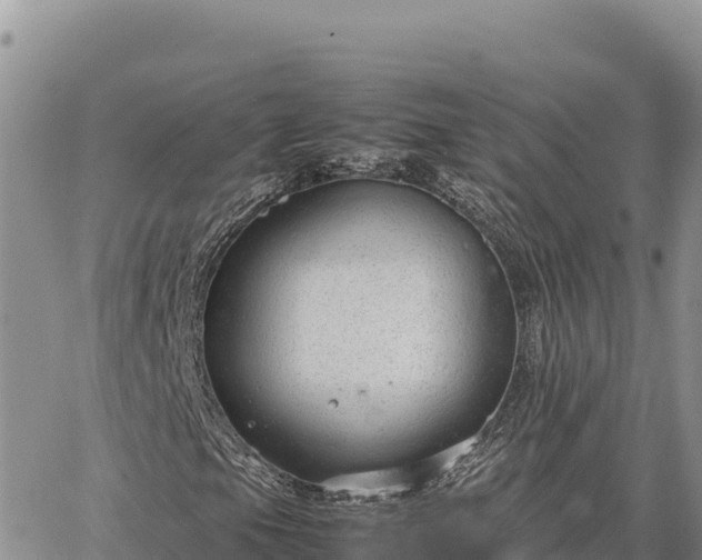 X0000064771105200602171817