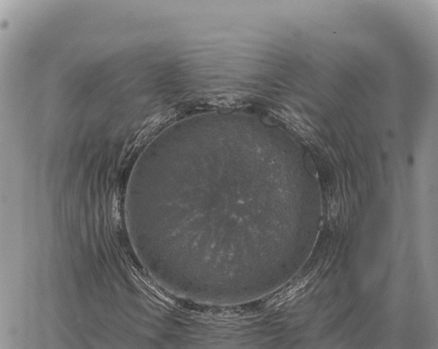 X0000064771106200602171817