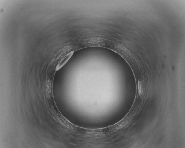 X0000064771107200602171817