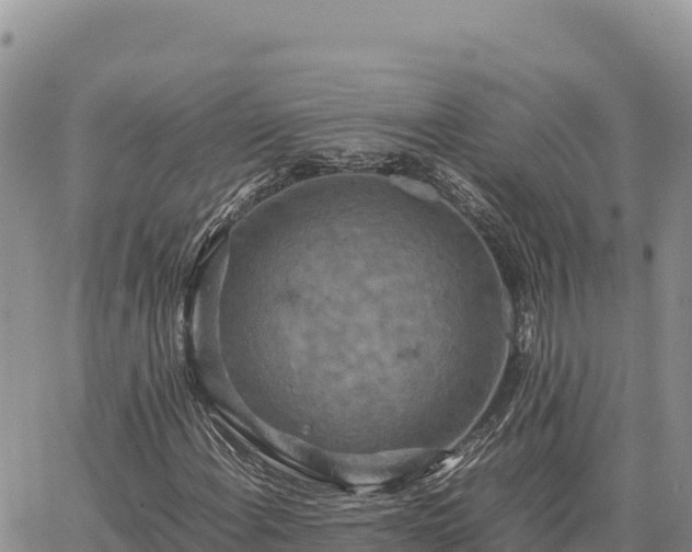 X0000064771108200602171817