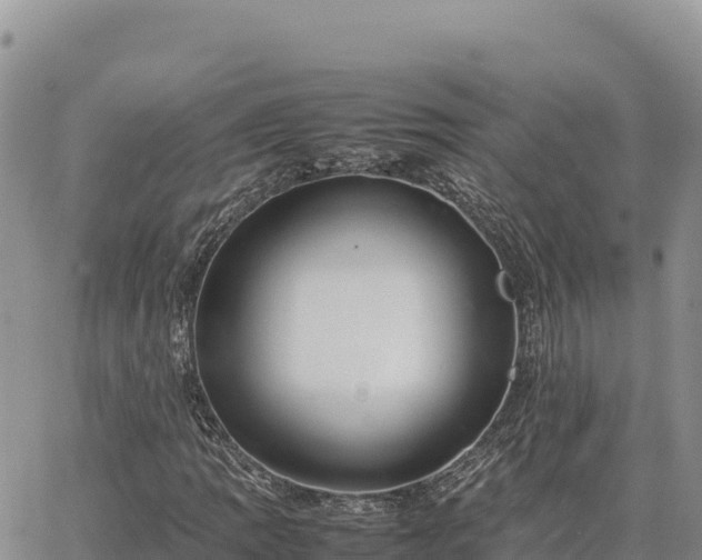 X0000064771109200602171817