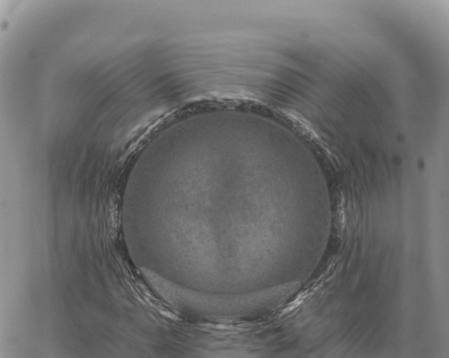 X0000064771110200602171817