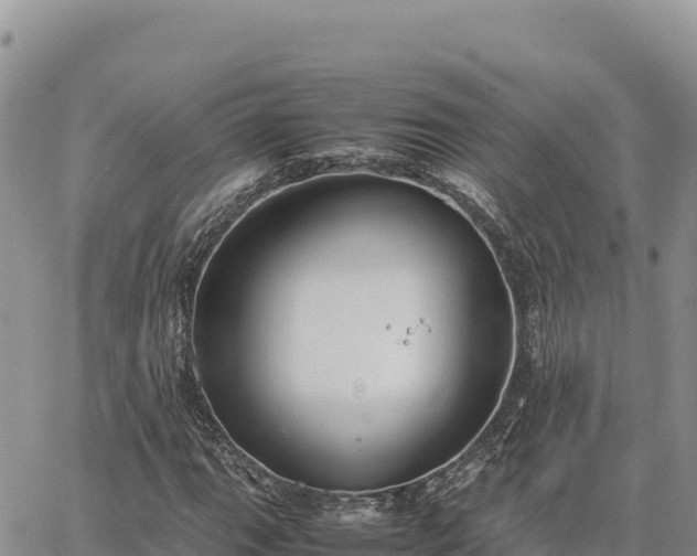 X0000064771111200602171817